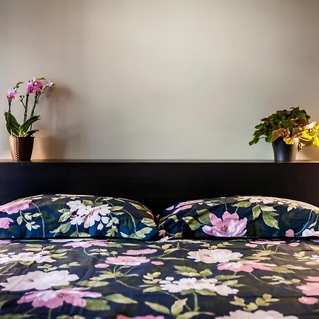 Chic And Freak Atelier *