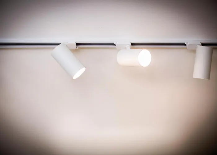 Chic And Freak Atelier *